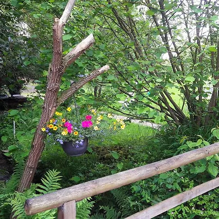 Du Ruisseau Hébergement de vacances